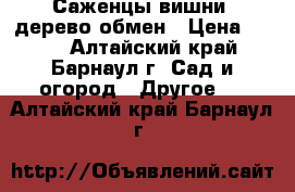 Саженцы вишни -дерево обмен › Цена ­ 200 - Алтайский край, Барнаул г. Сад и огород » Другое   . Алтайский край,Барнаул г.